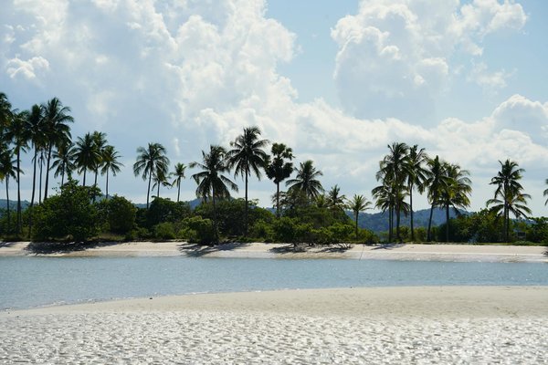 Les avantages environnementaux de la location de roulotte