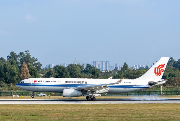 Organiser un séminaire en pleine nature : les clés du succès