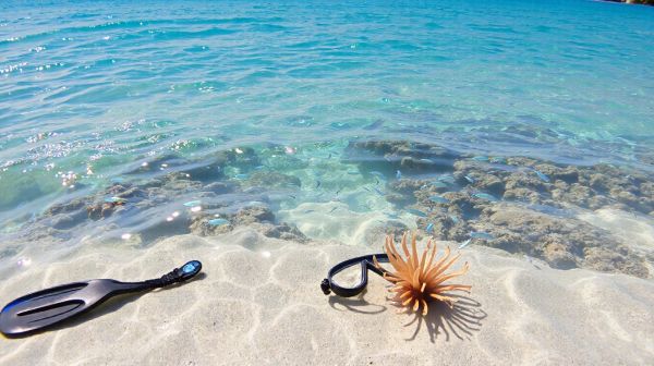 Top spots de snorkeling à découvrir en Antigua